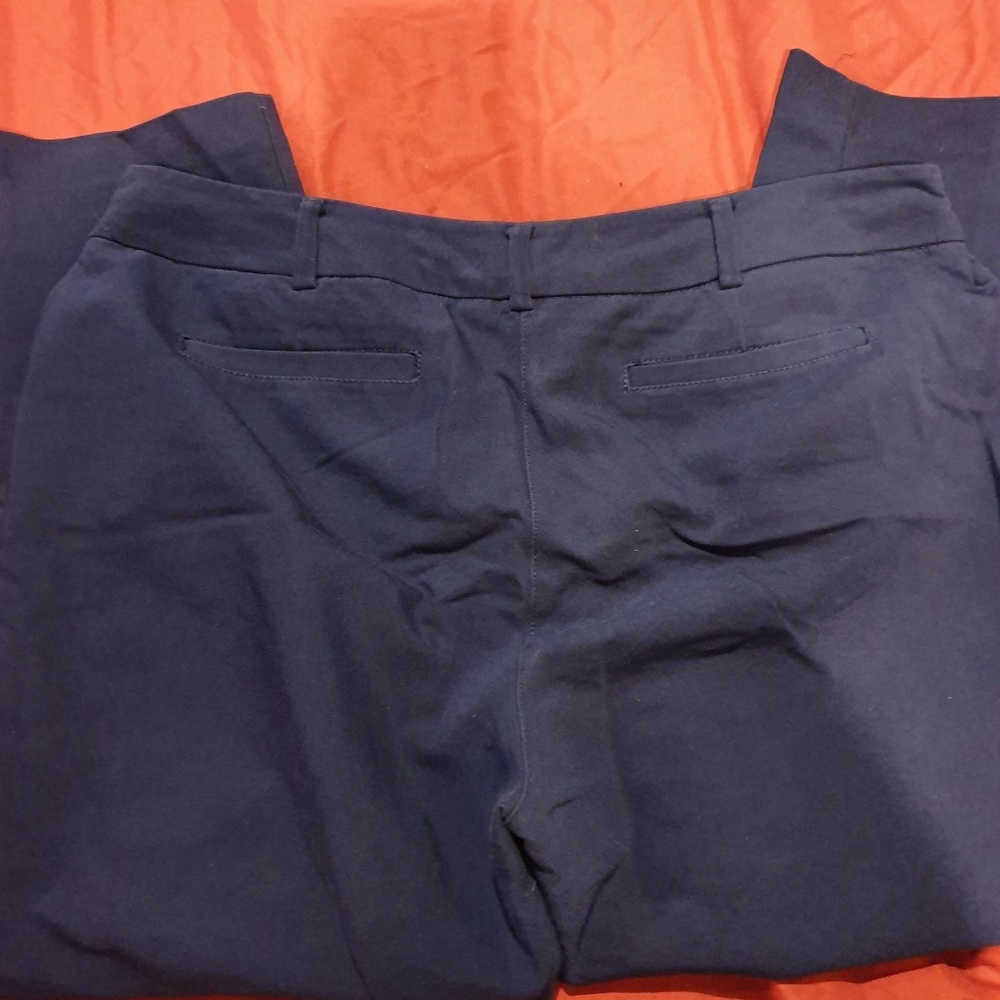 Dress pants